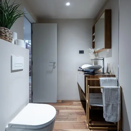 Authentic 公寓 卢布尔雅那